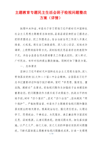 主题教育专题民主生活会班子检视问题整改方案（详情）