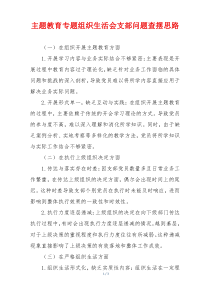 主题教育专题组织生活会支部问题查摆思路