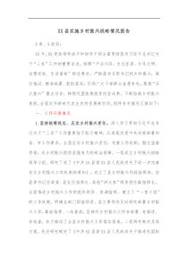 XX县实施乡村振兴战略情况报告