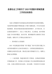县委社会工作部关于2025年度新兴领域党建工作的总结报告(材料)