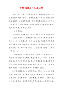 乡镇党建工作汇报总结