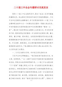 二十届三中全会专题研讨交流发言