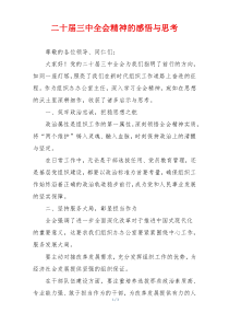 二十届三中全会精神的感悟与思考