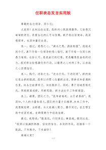 任职表态发言实用版