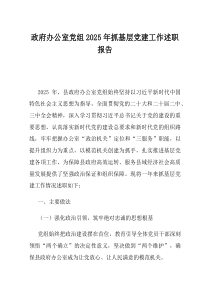 政府办公室党组2025年抓基层党建工作述职报告(材料)