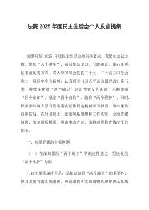 法院2025年度民主生活会个人发言提纲(材料)