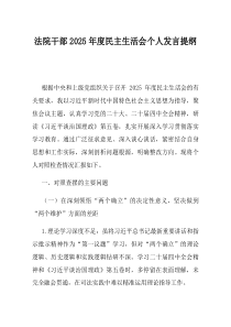 法院干部2025年度民主生活会个人发言提纲(材料)