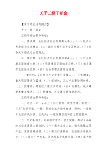 关于三级干部会