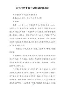 关于村党支部书记任期述职报告