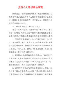 党员个人思想政治表现