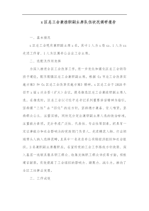 x区总工会兼挂职副主席队伍状况调研报告