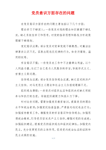 党员意识方面存在的问题