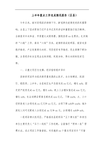 上半年重点工作完成情况报告区县