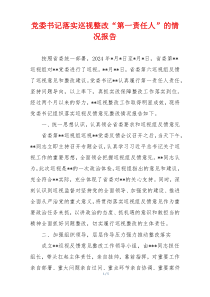 党委书记落实巡视整改“第一责任人”的情况报告