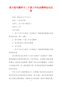 党小组专题学习二十届三中全会精神会议记录