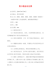 党小组会议记录