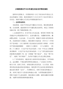 乡镇党委领导班子20XX20XX年度生活会召开情况报告