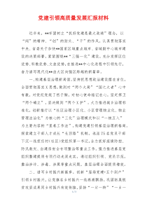 党建引领高质量发展汇报材料