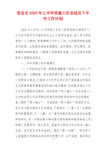 党总支2025年上半年党建工作总结及下半年工作计划