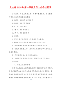 党支部2025年第一季度党员大会会议记录
