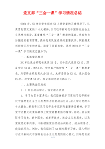 党支部“三会一课”学习情况总结