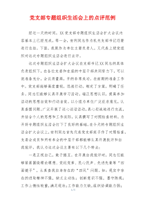 党支部专题组织生活会上的点评范例