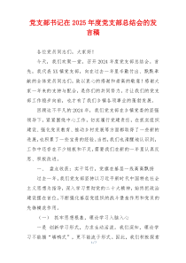 党支部书记在2025年度党支部总结会的发言稿