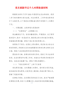 党支部副书记个人对照检查材料