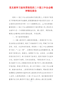 党支部学习宣传贯彻党的二十届三中全会精神情况报告