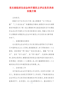 党支部组织生活会和开展民主评议党员具体实施方案