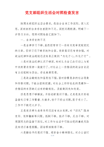 党支部组织生活会对照检查发言