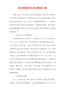 党支部组织生活会情况汇报