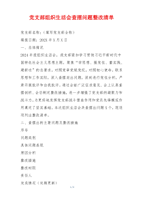 党支部组织生活会查摆问题整改清单