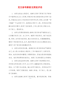 党支部考察意见简短评语