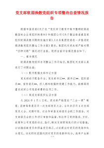 党支部软弱涣散党组织专项整治自查情况报告