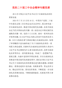 党的二十届三中全会精神专题党课