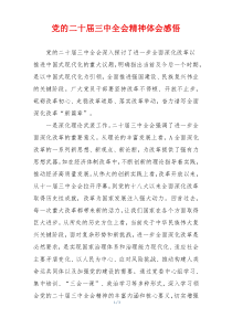 党的二十届三中全会精神体会感悟