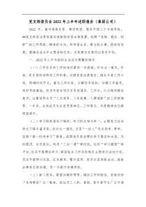 党支部委员会20XX年上半年述职报告集团公司