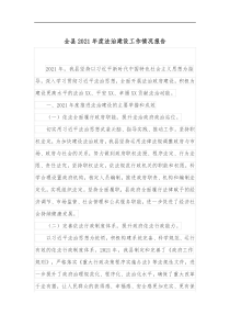全县20XX年度法治建设工作情况报告