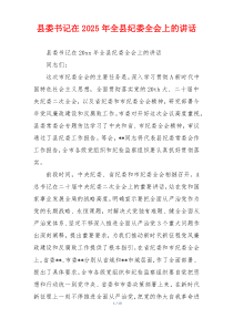 县委书记在2025年全县纪委全会上的讲话