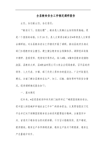全县粮食安全工作情况调研报告