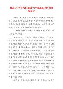 党组2025年落实全面从严治党主体责任情况报告