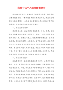 党组书记个人政治画像报告