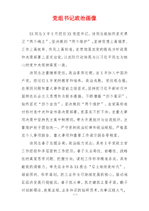 党组书记政治画像