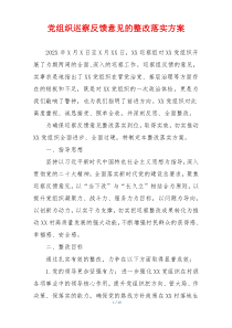 党组织巡察反馈意见的整改落实方案