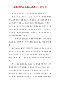 县委书记在县委全体会议上的讲话