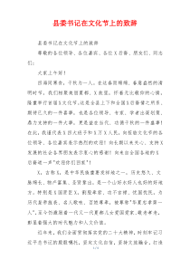 县委书记在文化节上的致辞