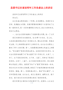 县委书记在谋划明年工作务虚会上的讲话