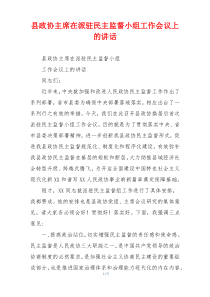 县政协主席在派驻民主监督小组工作会议上的讲话