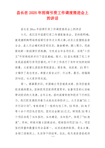 县长在2025年招商引资工作调度推进会上的讲话